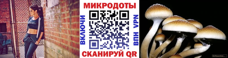 Псилоцибиновые грибы GOLDEN TEACHER  кракен маркетплейс  Чапаевск 